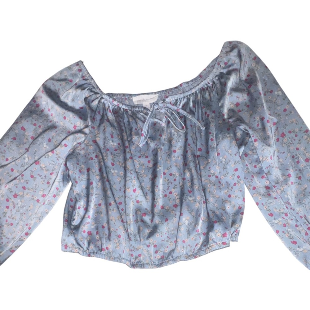 Pink Rose Light Blue Floral Blouse